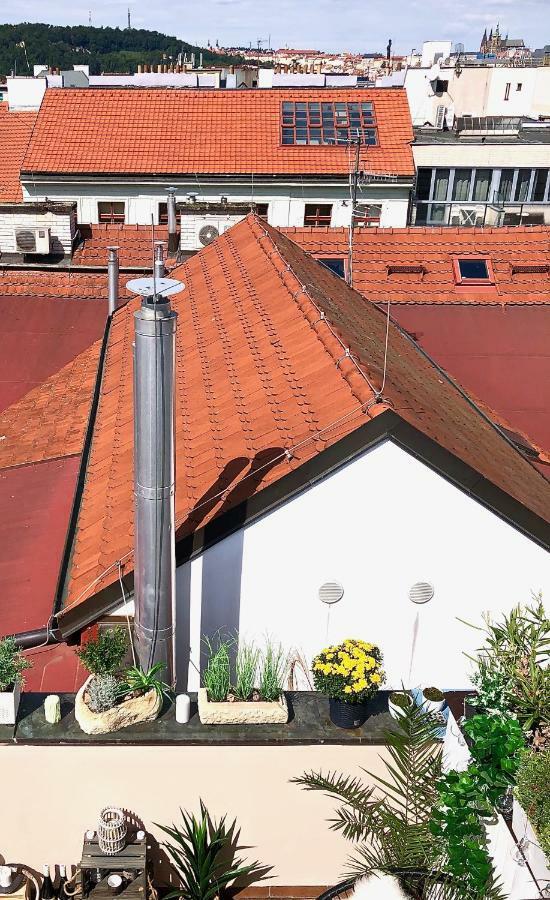 Duplex With Quite Terrace On Wenceslas Sq. براغ المظهر الخارجي الصورة